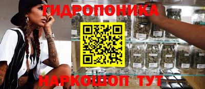крисы Тулун
